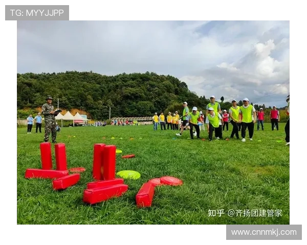 飞盘竞技新风潮：深入解析武汉飞盘队的战术与团队协作